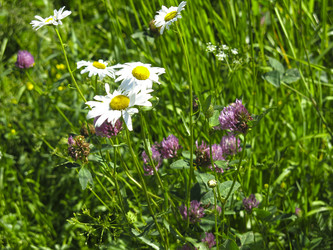 Similar image 21385560