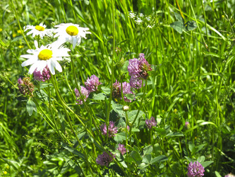 Similar image 21385562