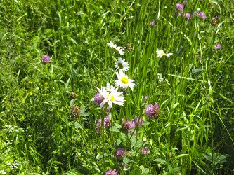 Similar image 21385564