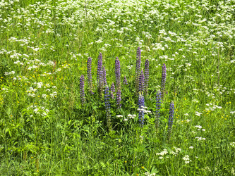 Similar image 21385567