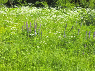 Similar image 21385568