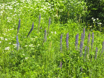 Similar image 21385569