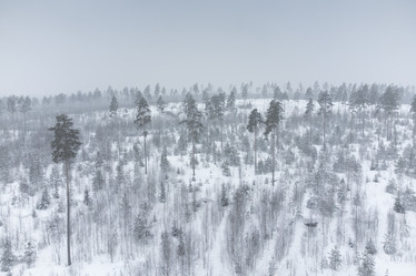 Similar image 21384486