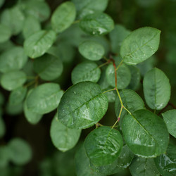 Similar image 21418738