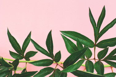 Similar image 21418743