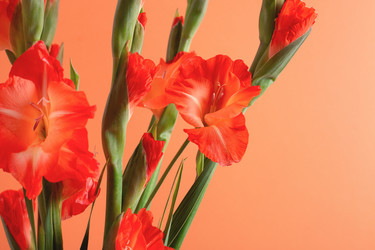 Similar image 21399933