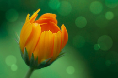 Similar image 21385393