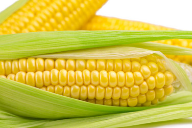 Similar image 21385394