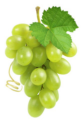 Similar image 21385395