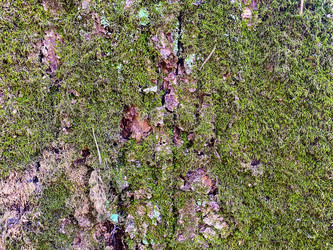 Similar image 21387242