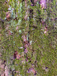 Similar image 21387244