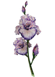 Similar image 21385349