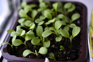 Similar image 21385400