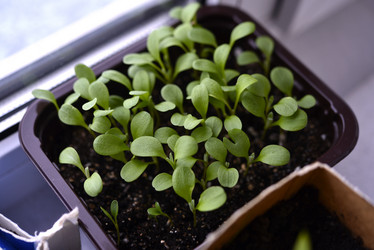 Similar image 21385401