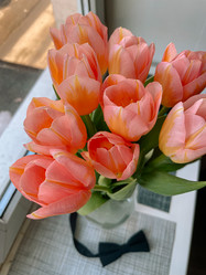 Similar image 21402731