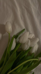 Similar image 21402734