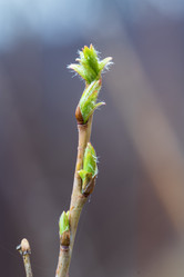 Similar image 21388653