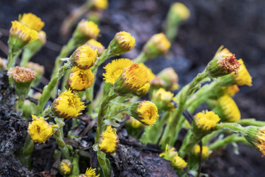 Similar image 21388655