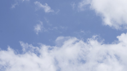 Similar image 21386149