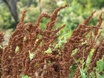 Similar image 21386151