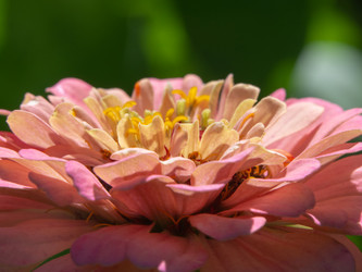 Similar image 21386152