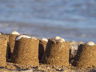 Similar image 21386154