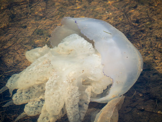 Similar image 21386155