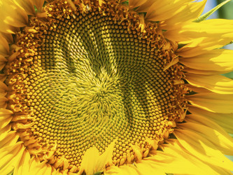 Similar image 21386156