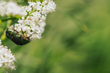 Similar image 21386158