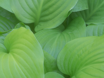 Similar image 21386161