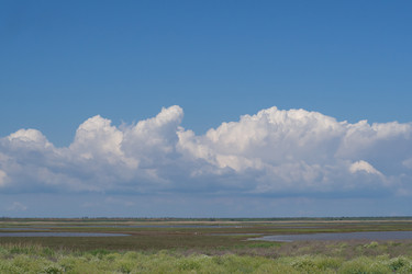 Similar image 21386164