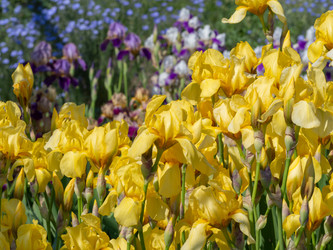 Similar image 21386165