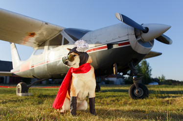 Similar image 21399466