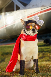 Similar image 21399469