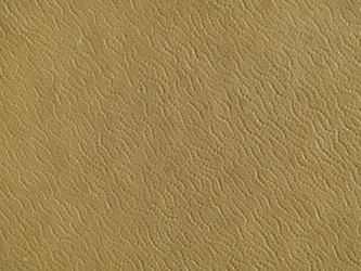 Similar image 21388955