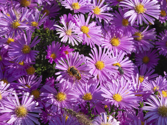 Similar image 21388957