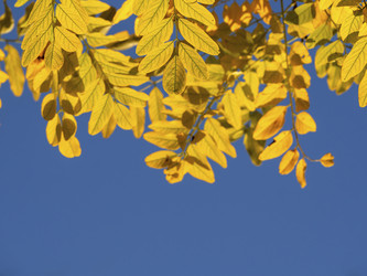 Similar image 21388959