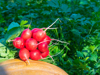 Similar image 21388963