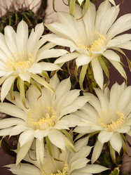 Similar image 21388965