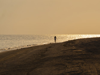 Similar image 21388968