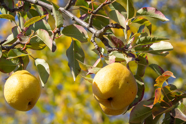 Similar image 21388972