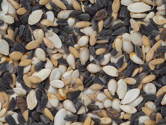 Similar image 21388974