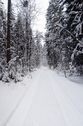 Similar image 21388684