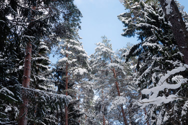 Similar image 21388686