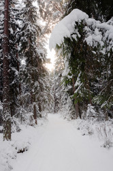 Similar image 21388687