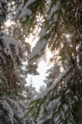 Similar image 21388688