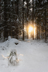 Similar image 21388690