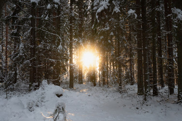 Similar image 21388692