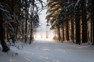 Similar image 21388693