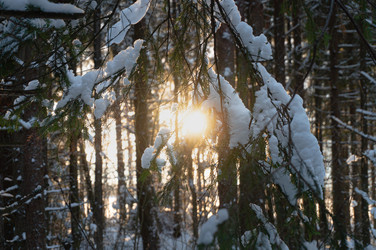 Similar image 21388694